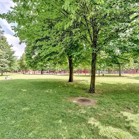 The In The Trees