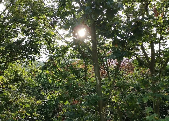 Διαμέρισμα The In The Trees